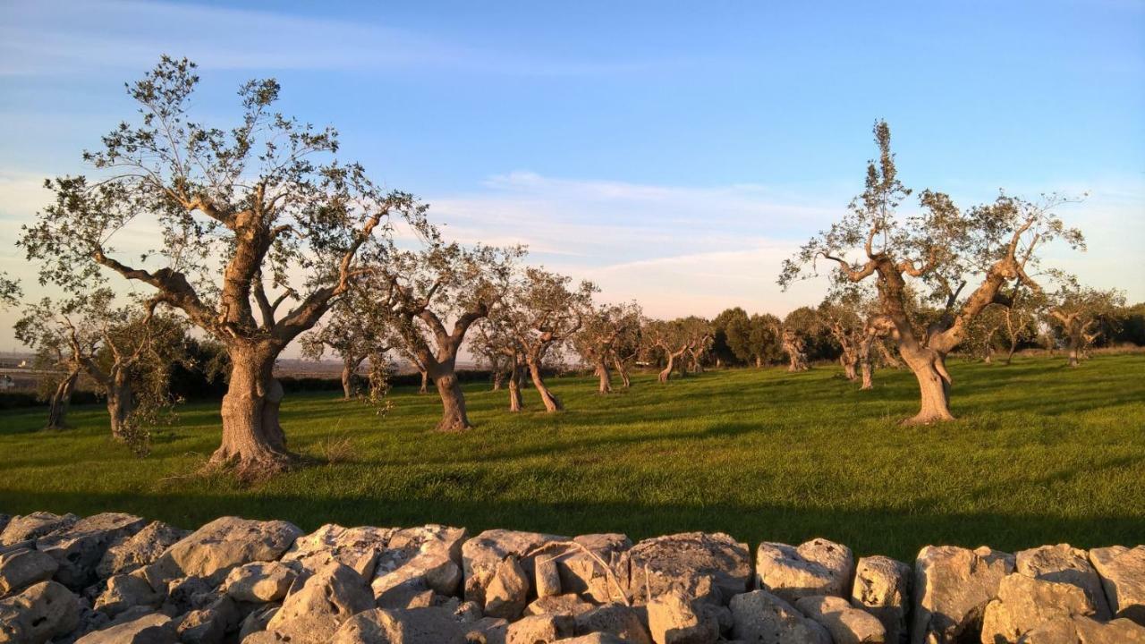 Antiche Mura Apartments "Nel Cuore Della Puglia"Bivani, Cucina, Terrazzo Тури Экстерьер фото